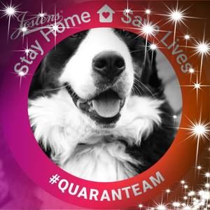 Meet your Posher, Penny